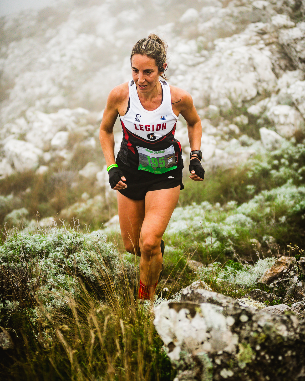 Apex Sport PH imagen central